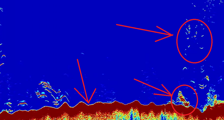 Cara Mudah Memancing Ikan di Laut Pakai Alat Nelayan Garmin Fishfinder - tampilan layar Garmin Fishfinder dan Artinya