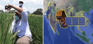 eksplorasi berbagai jenis citra satelit yang dapat dimanfaatkan dalam bidang pertanian - Jenis Citra Satelit yang digunakan untuk bidang Pertanian! - Artikel Surveyor Pemetaan Indosurta Group
