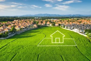 3 Tips Memilih Tanah yang Tepat Sebelum Membangun Rumah